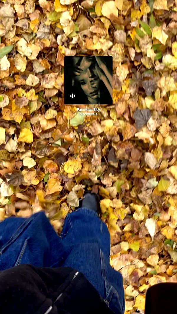 aekamee archive video preview