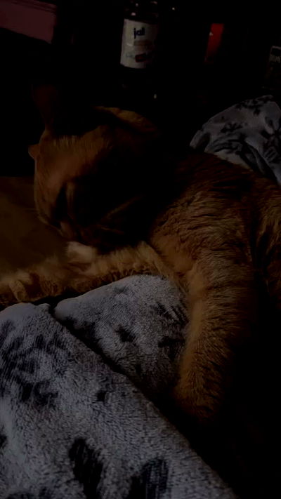 yoo.mon yoo.mon archive video