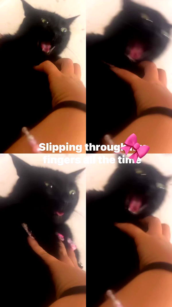 hellokittyangel666 archive video preview