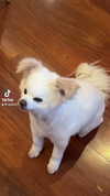 ogphos Altpins Profile Picture