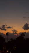 lin__099 Altpins Profile Picture