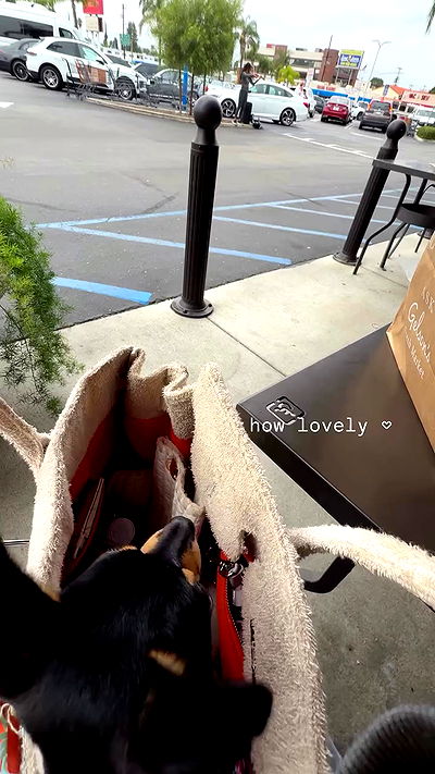 alexandramarianna alexandramarianna archive video