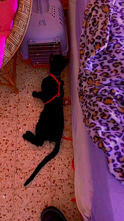 feelbetterinmysweater feelbetterinmysweater archive video