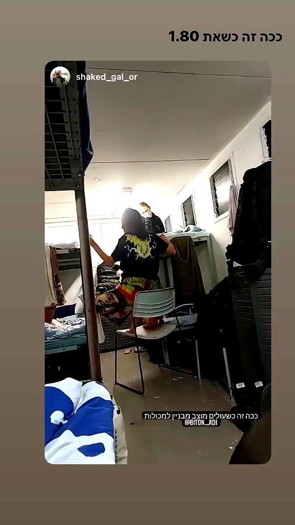 biton__adi archive video preview