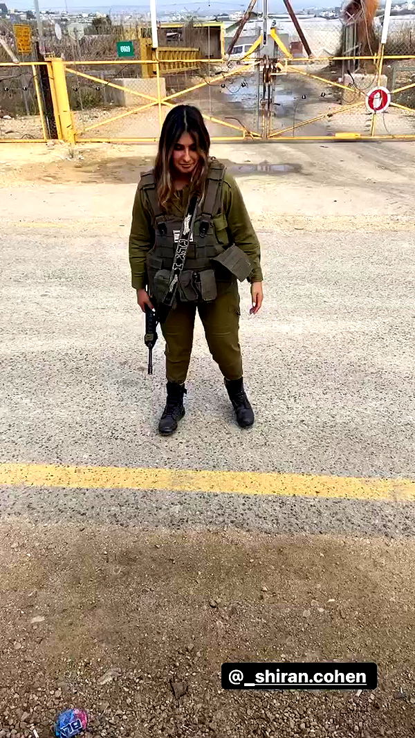 biton__adi archive video preview