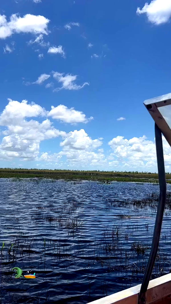 payton.r archive video preview