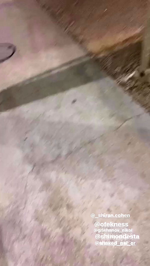 biton__adi archive video preview