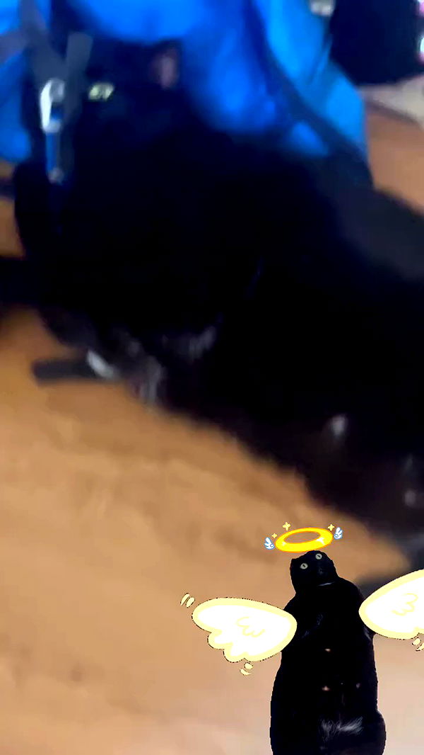 hellokittyangel666 archive video preview