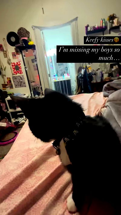 tatum.ricee tatum.ricee archive video