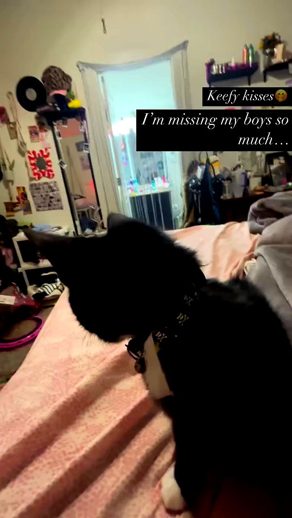 tatum.ricee archive video preview