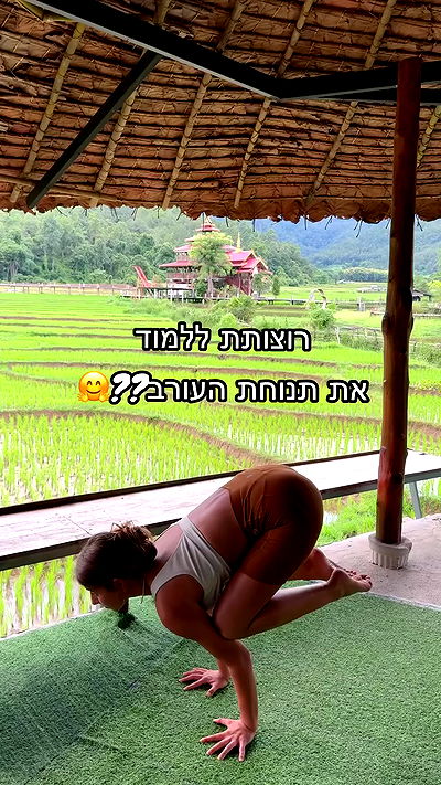 liad.arazi liad.arazi archive video