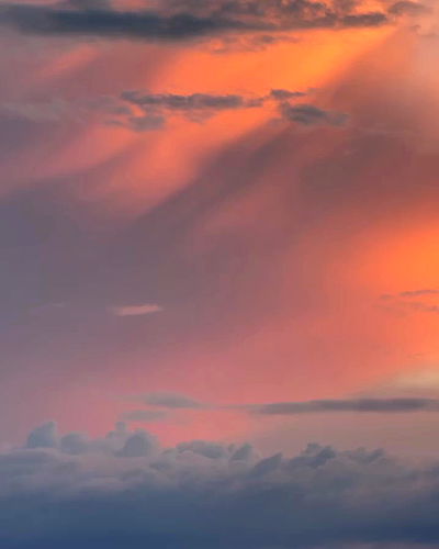 carolinezalog carolinezalog archive video