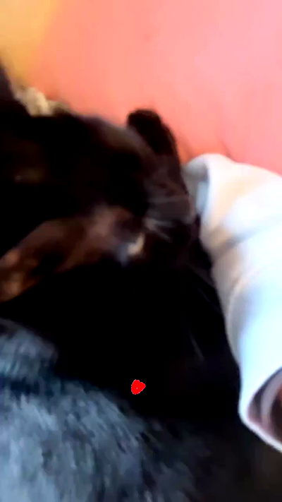 hellokittyangel666 hellokittyangel666 archive video