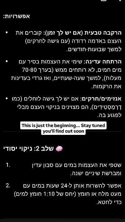 1justsabi 1justsabi archive video