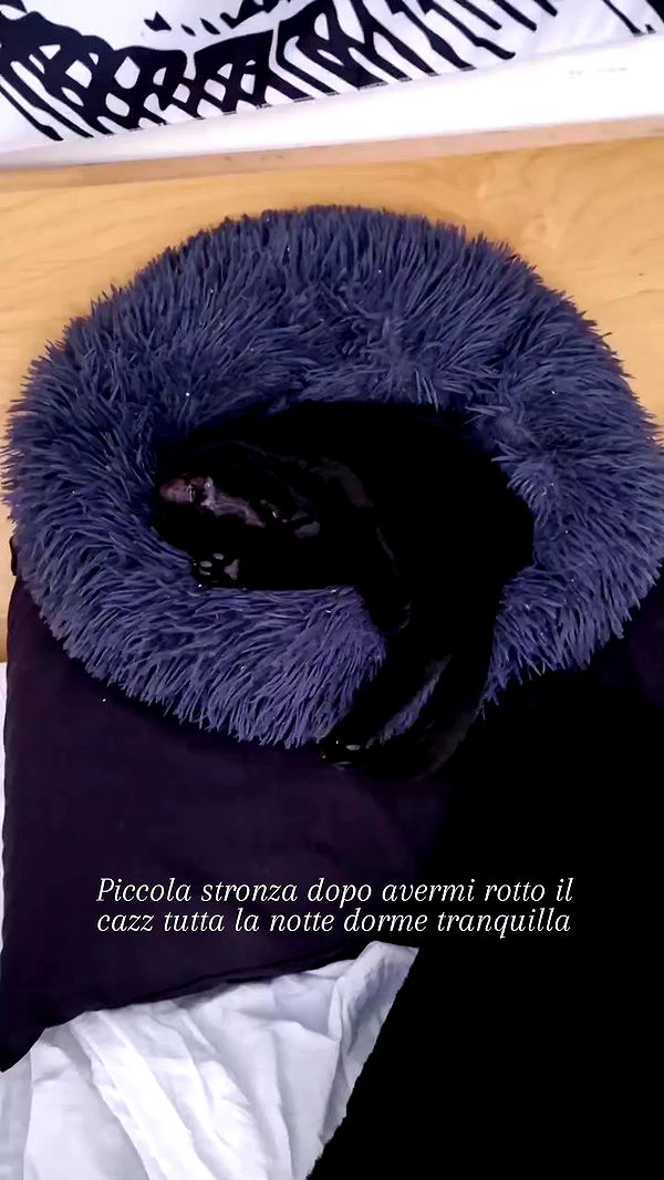 aekamee archive video preview