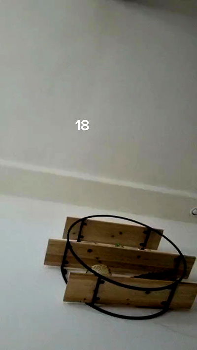 laluzone laluzone archive video