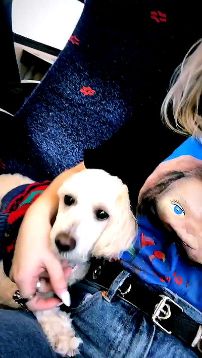 feelbetterinmysweater feelbetterinmysweater archive video