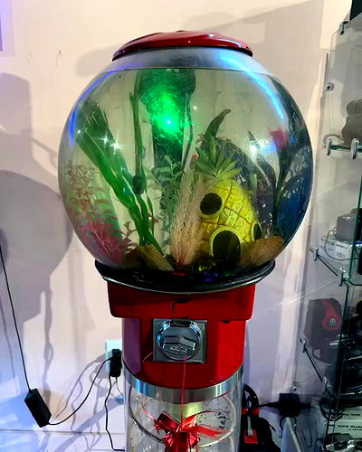 miakhalifa miakhalifa archive video