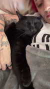 charleygrayyy Altpins Profile Picture