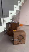 julieta.allegretti Altpins Profile Picture