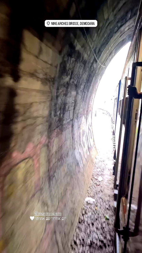 roni__moalem archive video preview