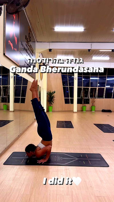 liad.arazi liad.arazi archive video