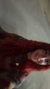 _lil_noa_ Altpins Profile Picture