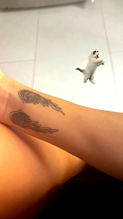 rchhhll rchhhll archive video