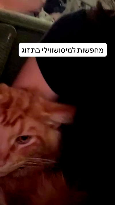 laluzone laluzone archive video