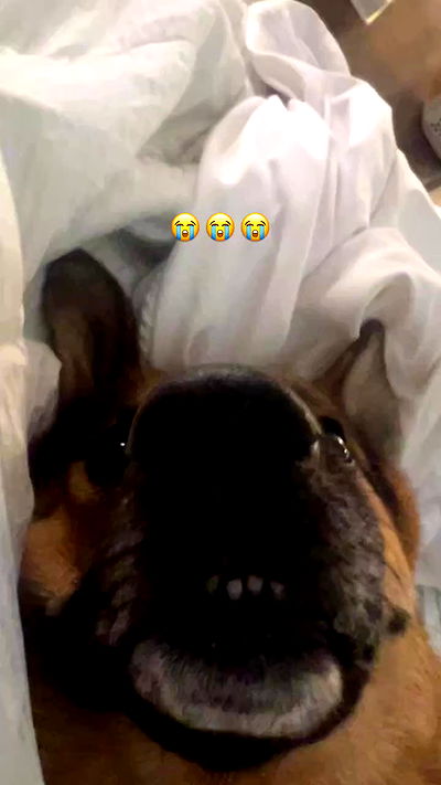 little.warren_ little.warren_ archive video