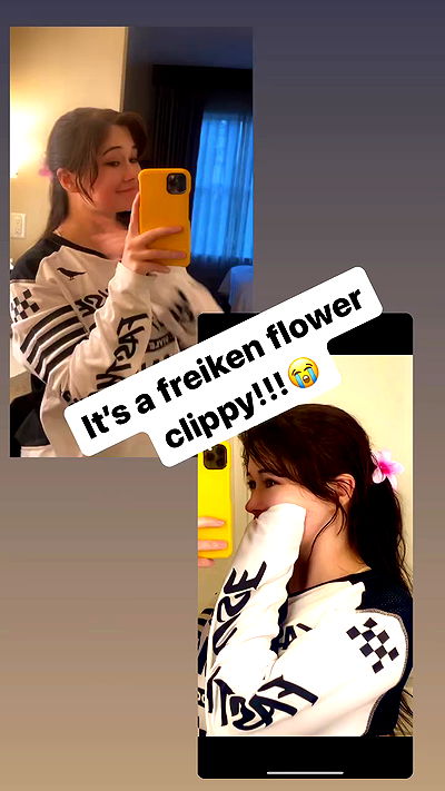 war_hamster6 war_hamster6 archive video