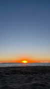 ava_mishelle Altpins Profile Picture
