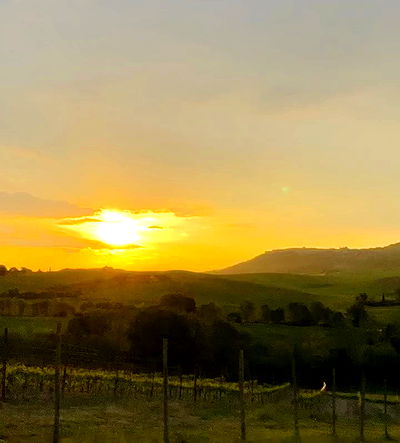 nikolgolovatzky nikolgolovatzky archive video