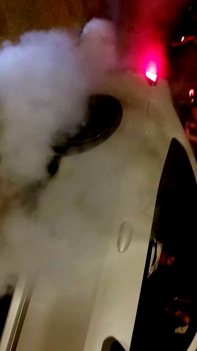 simp_for_cats_ simp_for_cats_ archive video