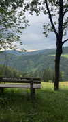 rachelyogaflower Altpins Profile Picture
