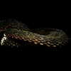 taylorswift Altpins Profile Picture