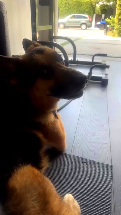 little.warren_ little.warren_ archive video