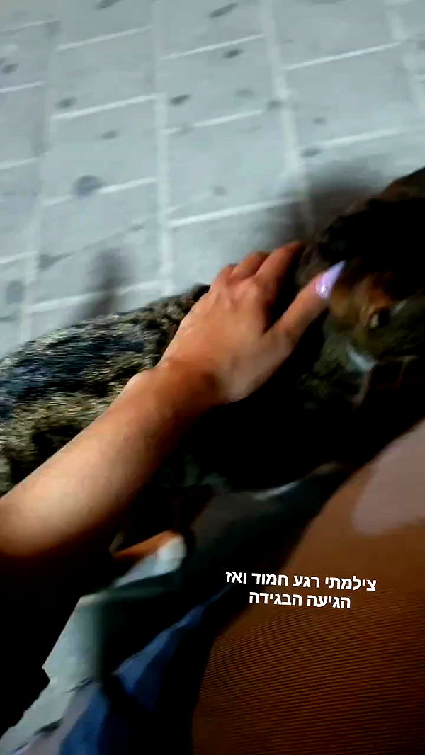 yam_adler archive video preview