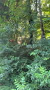 sarah.anne.dipity Altpins Profile Picture