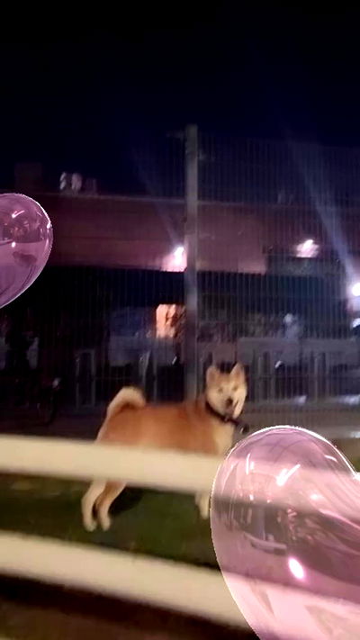 zommmbri zommmbri archive video