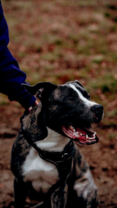 sina.njck sina.njck archive video