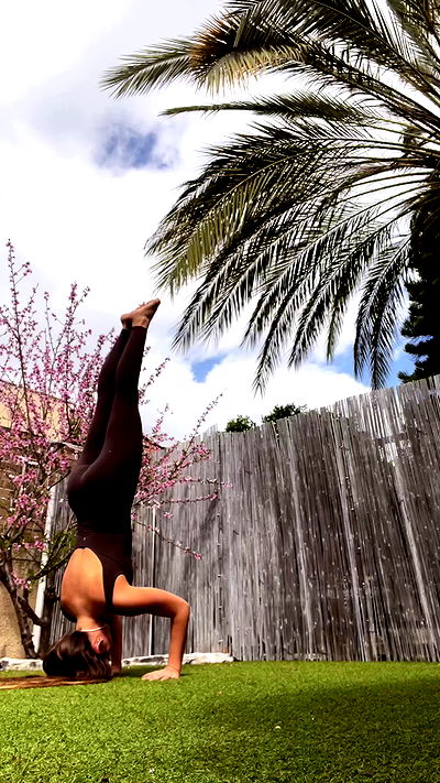 liad.arazi liad.arazi archive video