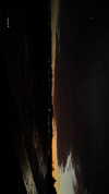 naylorliana_ Altpins Profile Picture