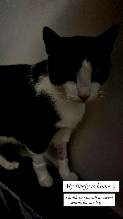 tatum.ricee tatum.ricee archive video