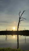 sarah.anne.dipity Altpins Profile Picture
