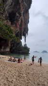 shelly_roberin Altpins Profile Picture