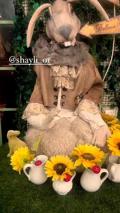 shayli_or shayli_or archive video