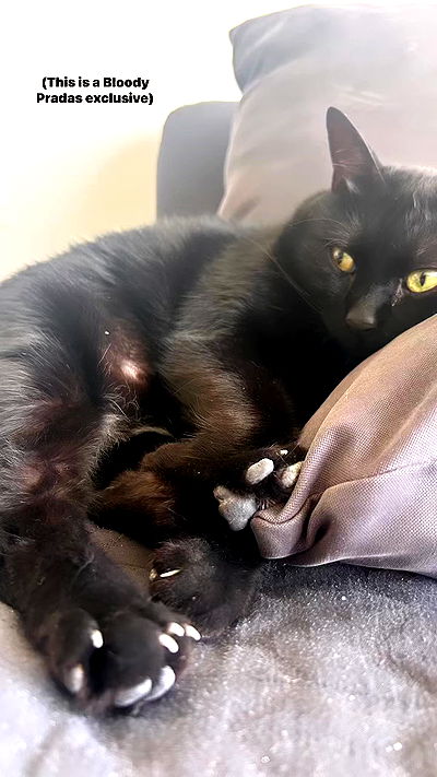 hellokittyangel666 hellokittyangel666 archive video