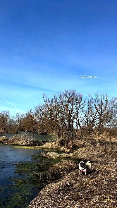 nyityam nyityam archive video