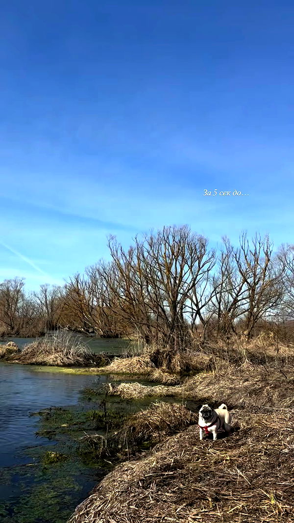 nyityam archive video preview